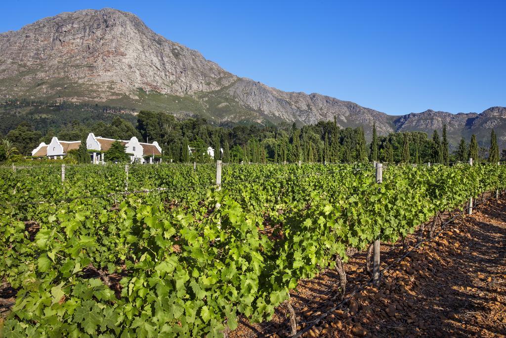 La Providence Hotel Franschhoek Exterior photo